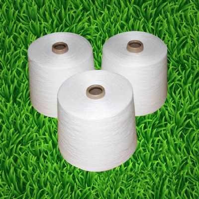 點(diǎn)擊查看詳細(xì)信息<br>標(biāo)題：渦流紡腈綸紗 閱讀次數(shù)：5001