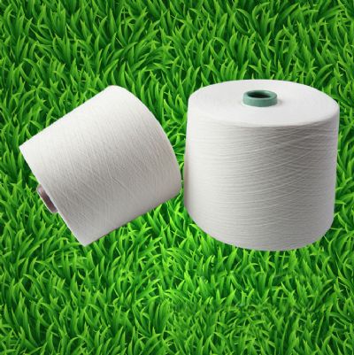 點(diǎn)擊查看詳細(xì)信息<br>標(biāo)題：全棉無(wú)捻紗 閱讀次數(shù)：4998