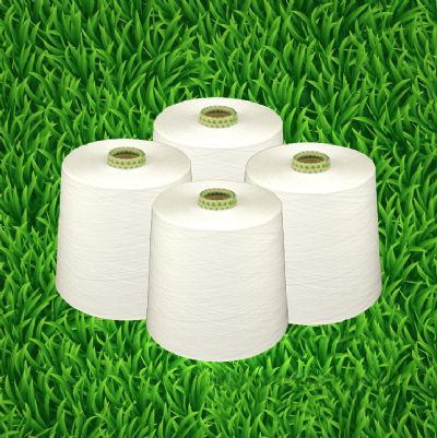 點(diǎn)擊查看詳細(xì)信息<br>標(biāo)題：竹纖維紗 閱讀次數(shù)：6395